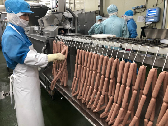 지난 13일 충북 진천 광혜원 CJ제일제당 공장에서 직원들이 다진 고기를 케이싱에 충전하고 있다. <CJ제일제당 제공>